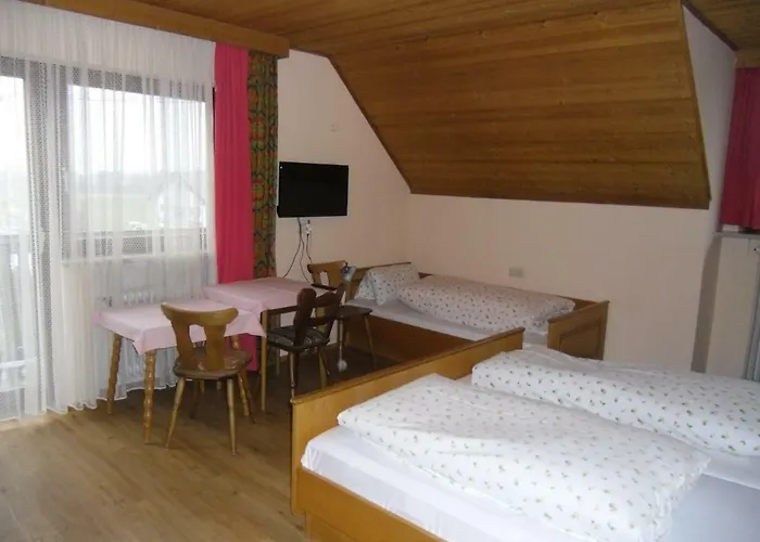Pension Elsendorf 3*